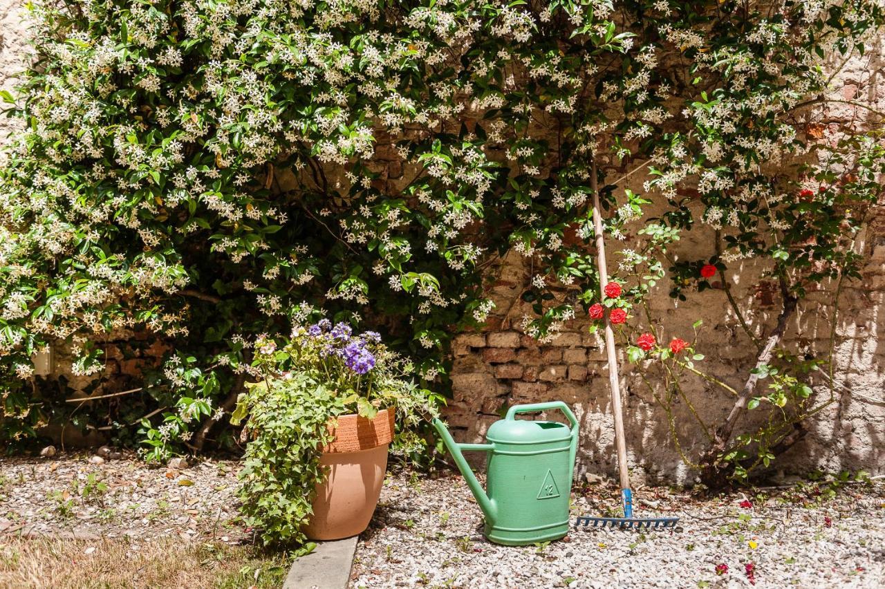 Hostly - Garden House Near The Tower - Historical House With Private Garden Apartment Pisa Bagian luar foto